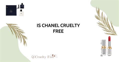 chanel cruelty free 2023|Chanel is not vegan.